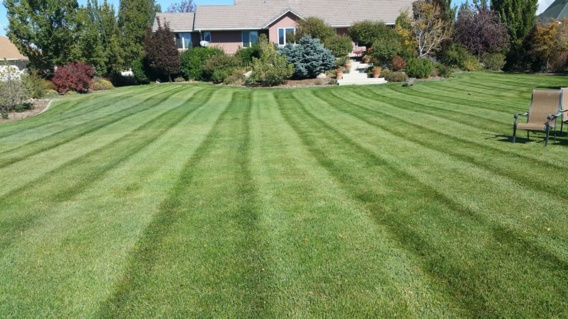 Lawn Fertilization and Weed Control Services