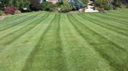 Lawn Maintenance and Landscape Maintenance Salt Lake City Utah