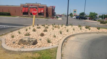 Low Maintenance Or Xeriscape Landscape Installation Salt Lake City Utah