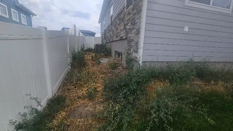 backyard landscaping visualizer before1