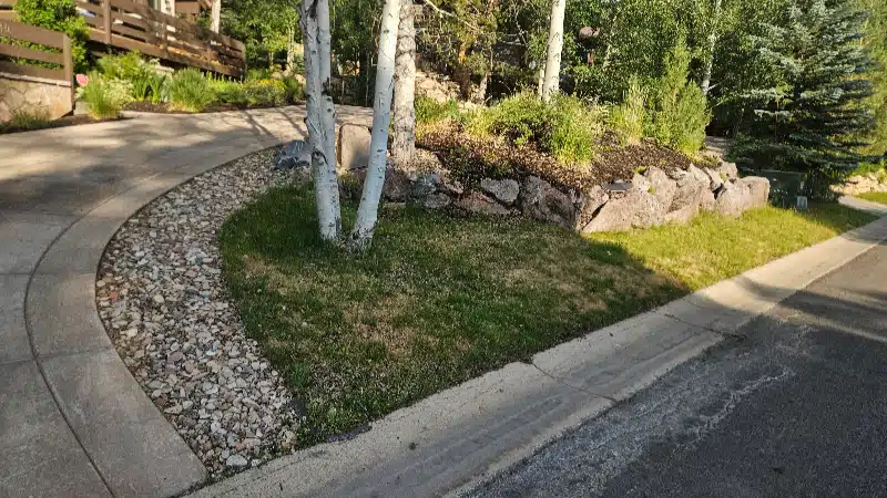 front yard landscaping before2