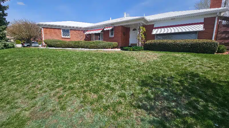 Front yard landscaping before1