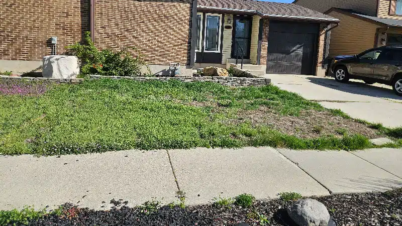 front yard landscaping visualizer before