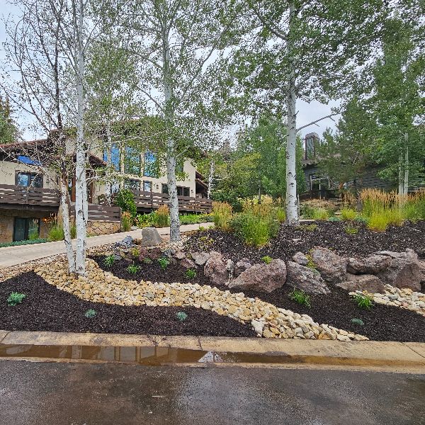 Bed Preparation Before Mulch