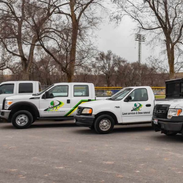 SLC Maintenance Process