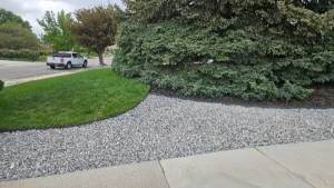 SLC lawn services Xeriscape maintenance guide for Salt Lake City